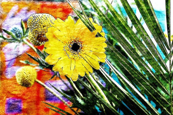 Download Printable Flower Graphics Pack# 02 - Flower graphics Collection