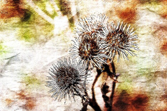 Download Printable Flower Graphics Pack# 03 - Flower graphics Collection